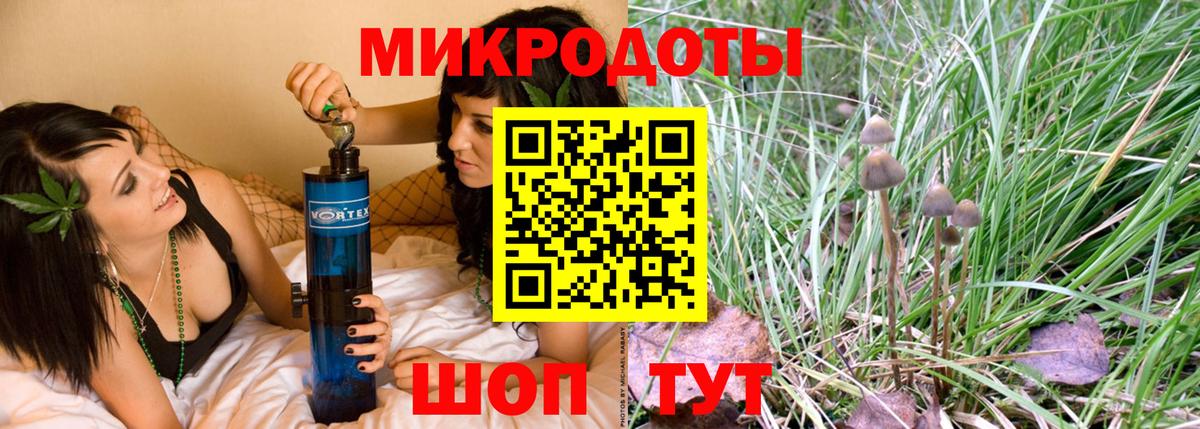 Старая Купавна  Галлюциногенные грибы MAGIC MUSHROOMS  Вход с VPN 