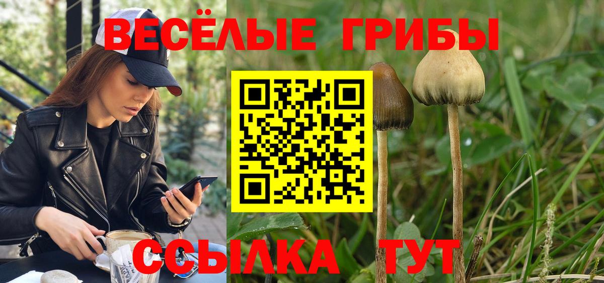 Псилоцибиновые грибы мухоморы Старая Купавна